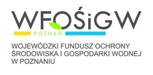 LIPOWY ZAKĄTEK